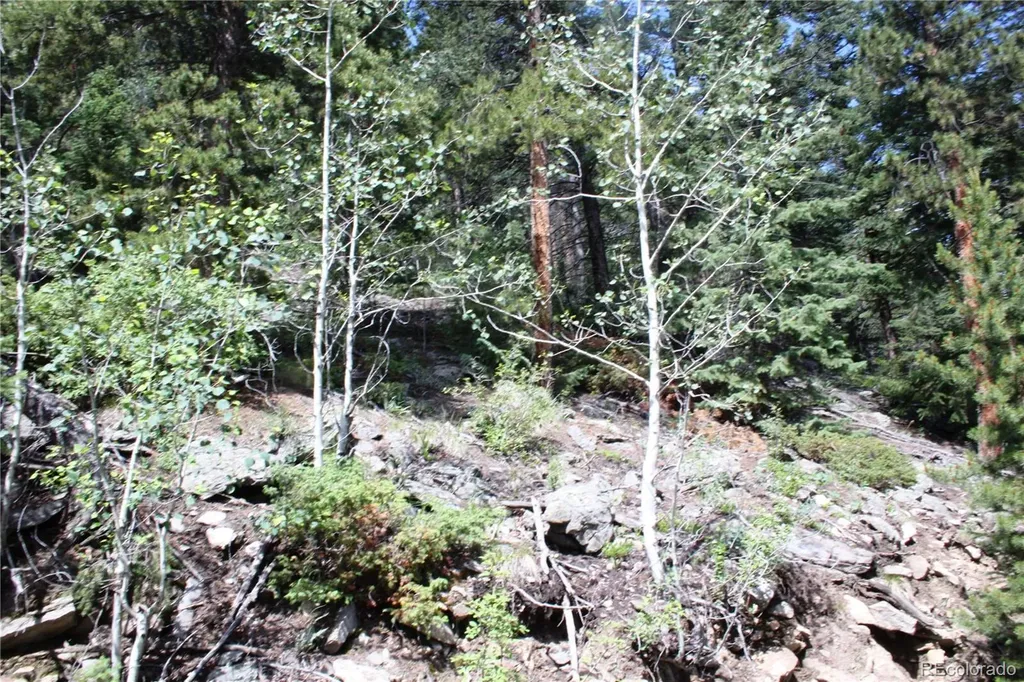 200 Two Brothers Road Idaho Springs CO 80452