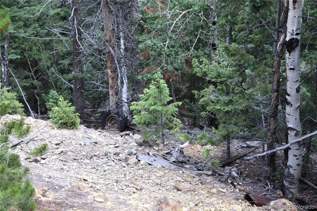 200 Two Brothers Road Idaho Springs CO 80452