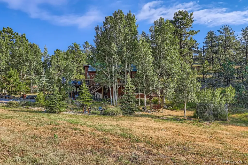 42 Catamount Ridge Road Bailey CO 80421