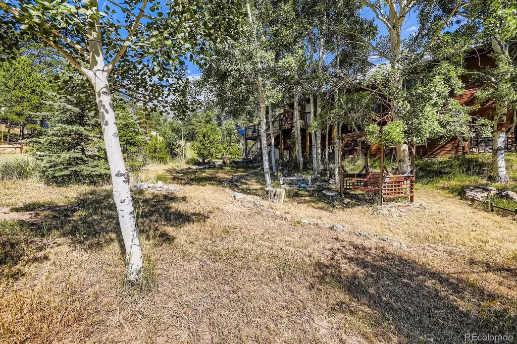 42 Catamount Ridge Road Bailey CO 80421