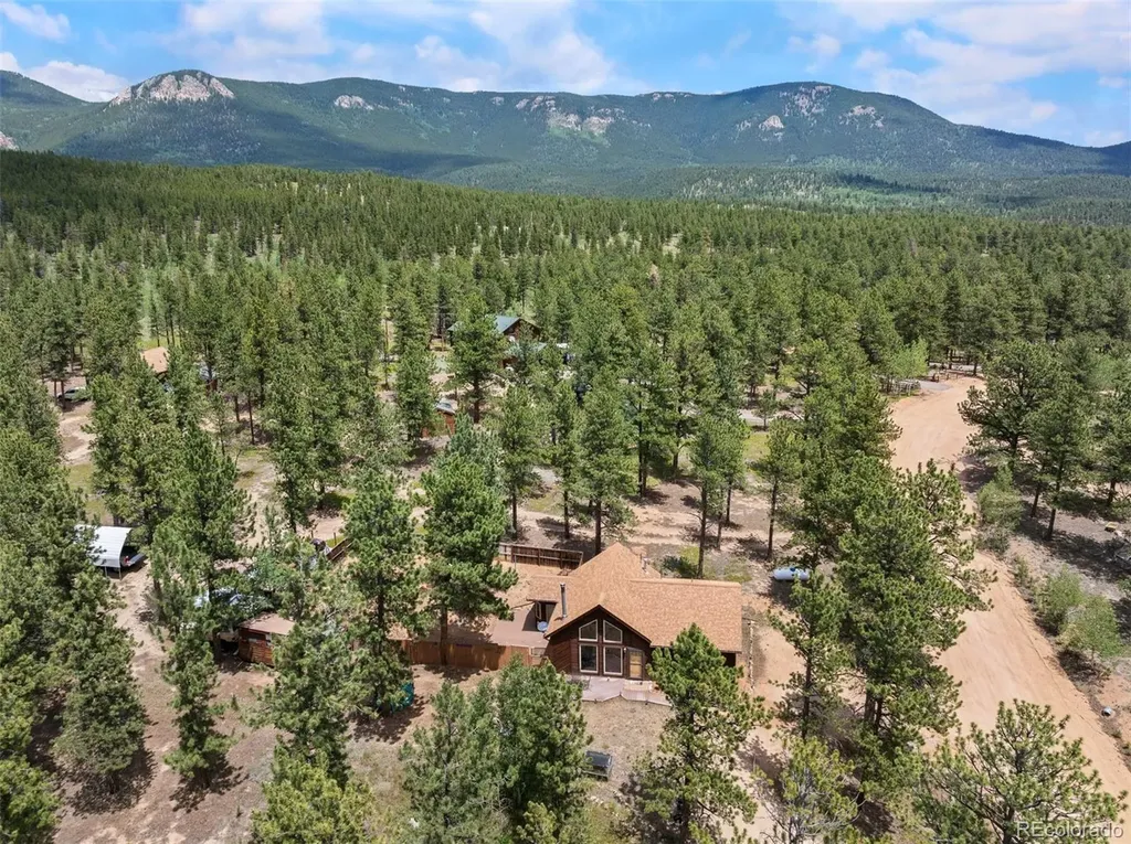 21 Crystal Rock Road Bailey CO 80421