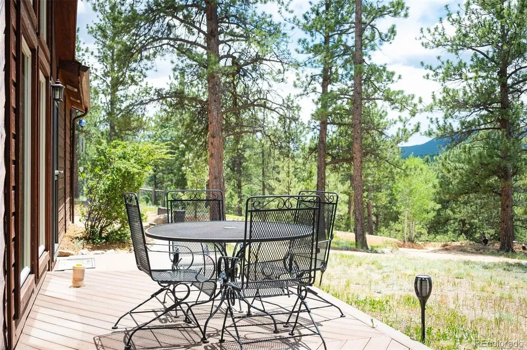 21 Crystal Rock Road Bailey CO 80421
