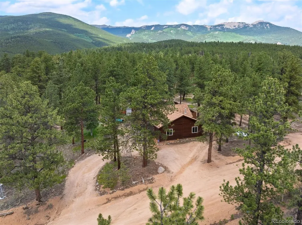 21 Crystal Rock Road Bailey CO 80421