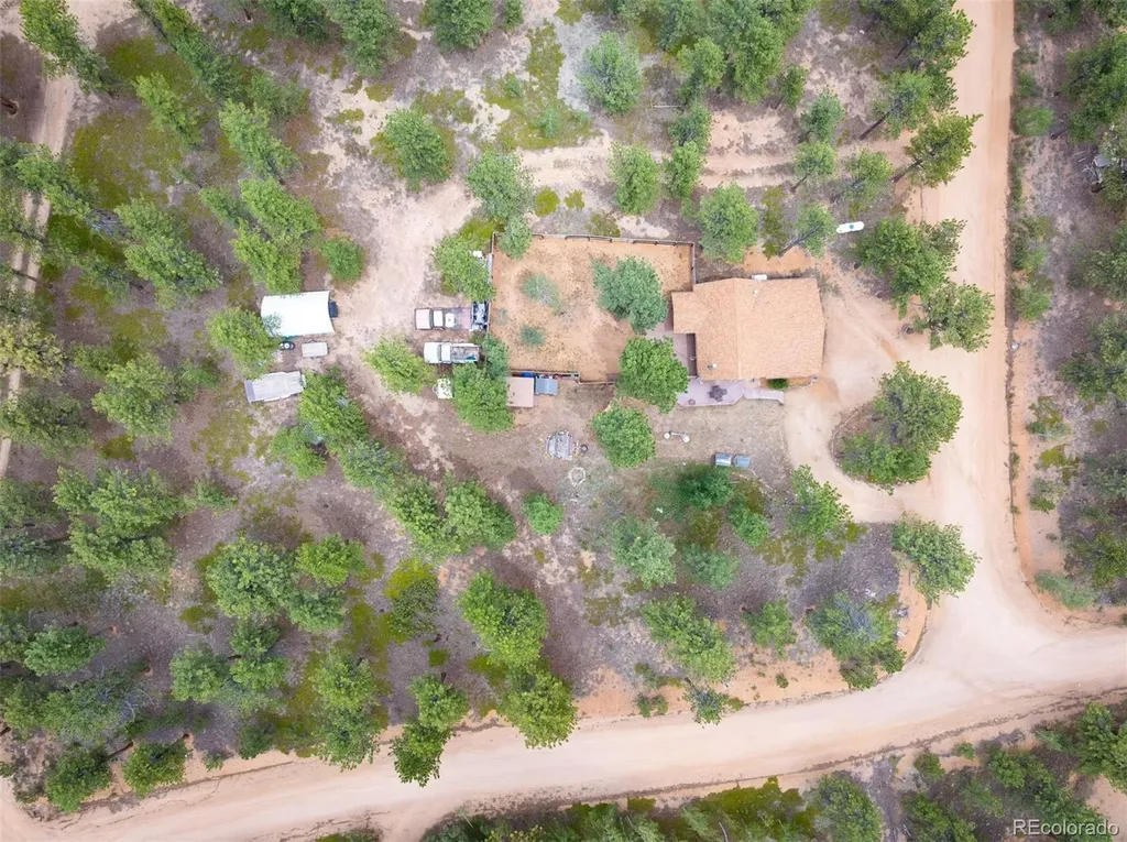 21 Crystal Rock Road Bailey CO 80421