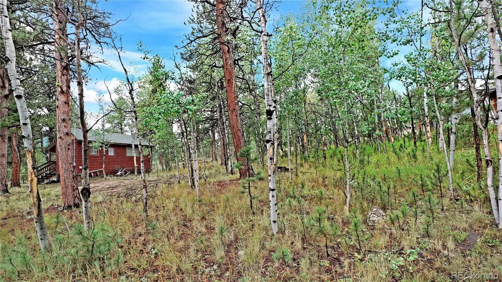 109 Wolf Bailey CO 80421