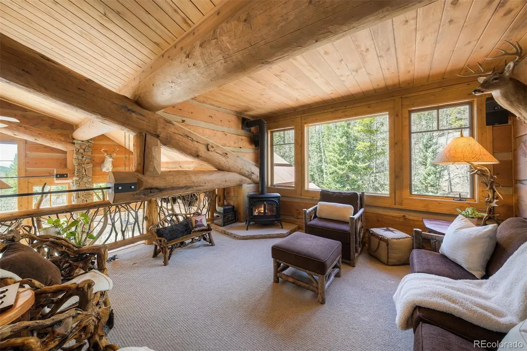 250 Buckeye Creek Road Leadville CO 80461