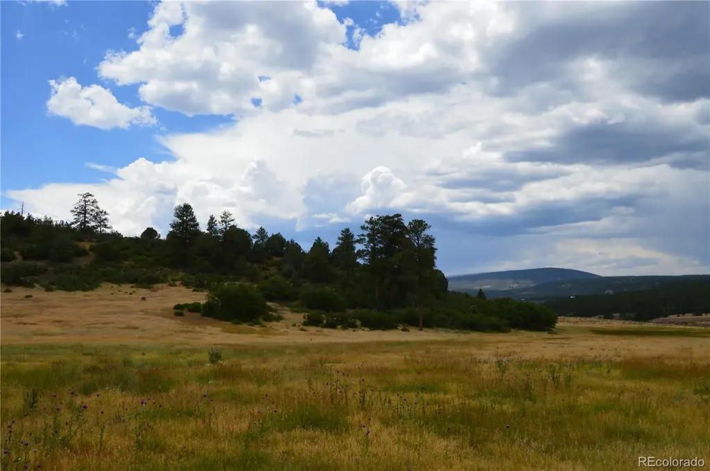 73 Parelli Institute Drive Pagosa Springs CO 81147