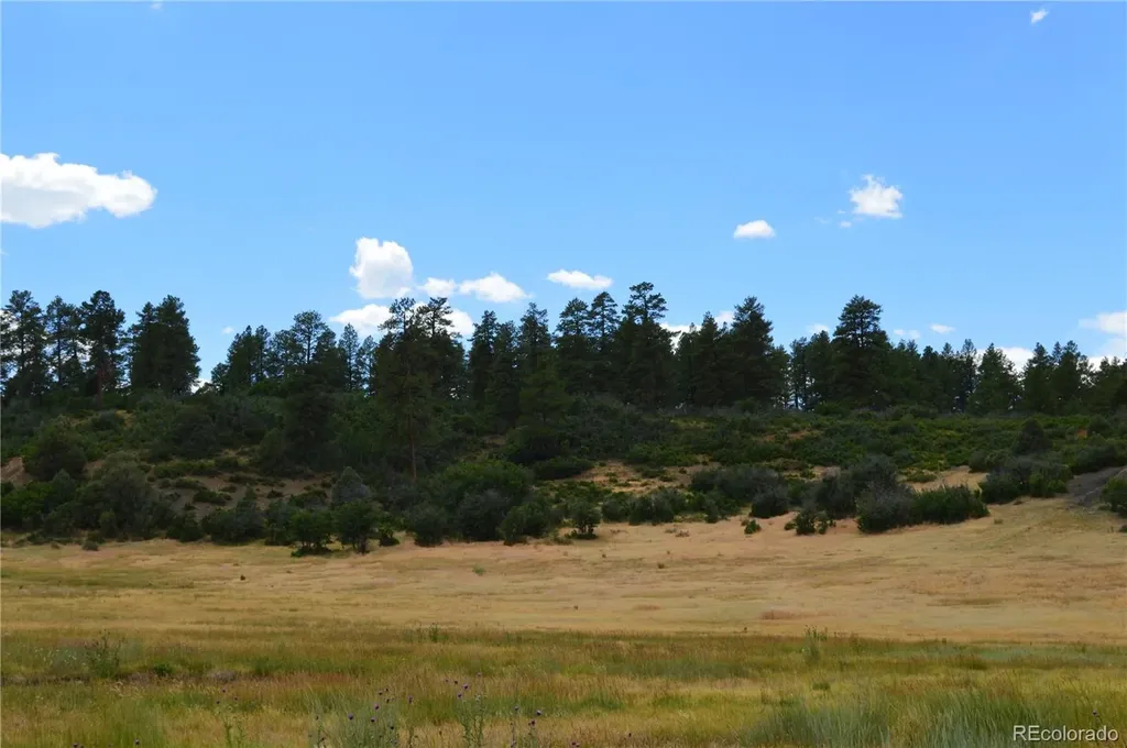 73 Parelli Institute Drive Pagosa Springs CO 81147