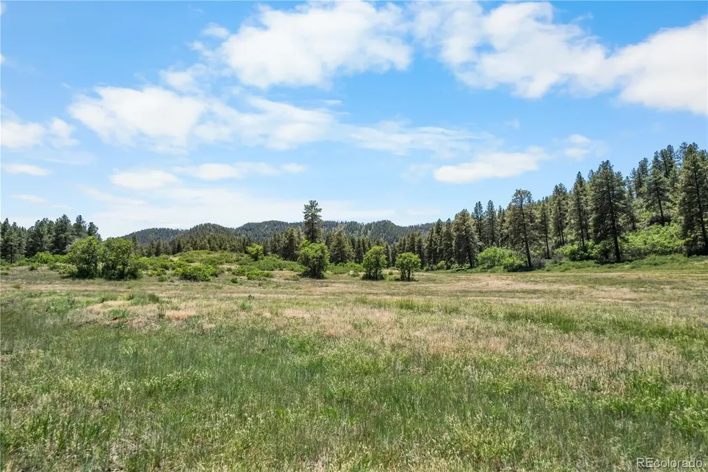 73 Parelli Institute Drive Pagosa Springs CO 81147