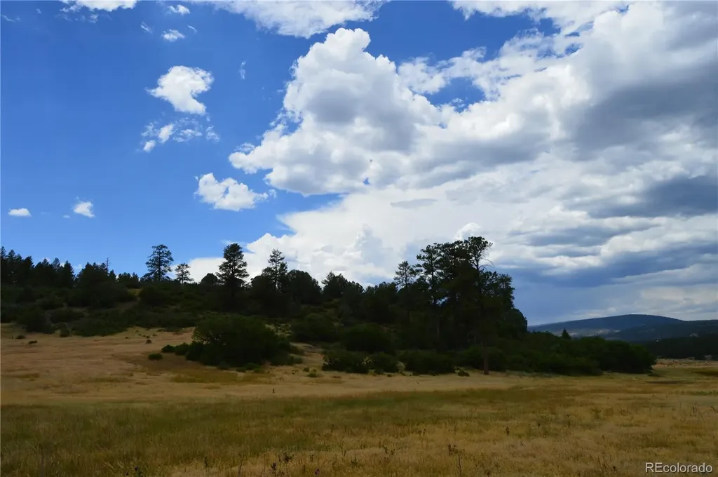 73 Parelli Institute Drive Pagosa Springs CO 81147