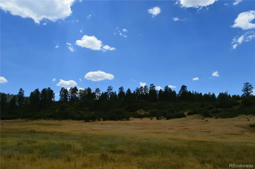 73 Parelli Institute Drive Pagosa Springs CO 81147
