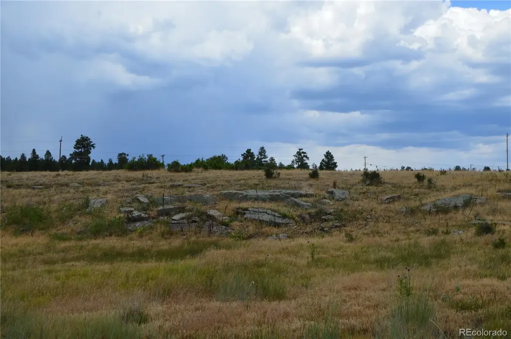 73 Parelli Institute Drive Pagosa Springs CO 81147