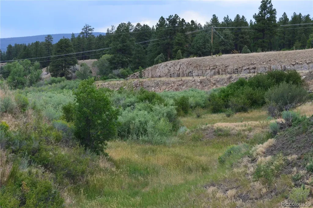 73 Parelli Institute Drive Pagosa Springs CO 81147
