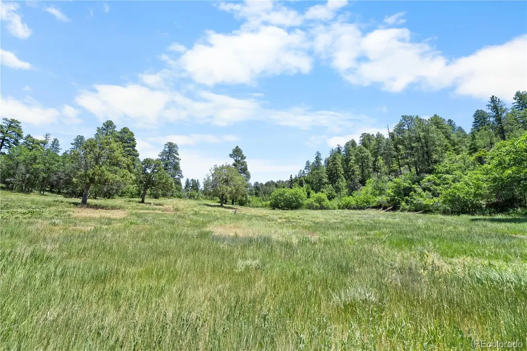 73 Parelli Institute Drive Pagosa Springs CO 81147