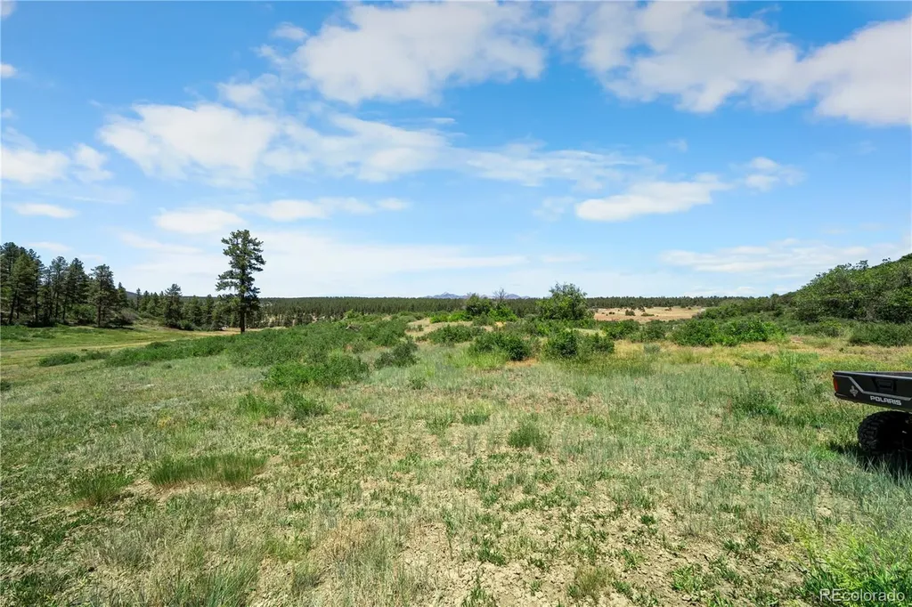73 Parelli Institute Drive Pagosa Springs CO 81147