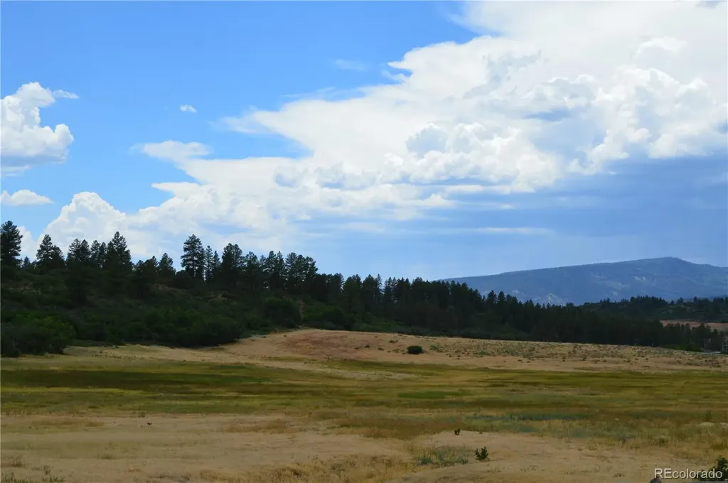 73 Parelli Institute Drive Pagosa Springs CO 81147