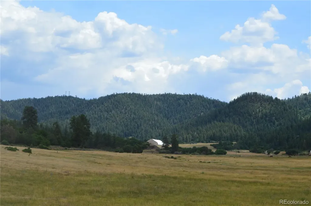 73 Parelli Institute Drive Pagosa Springs CO 81147