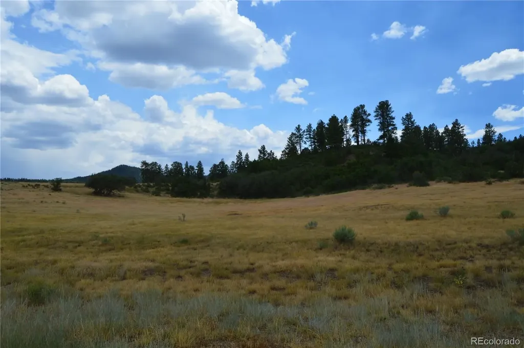 73 Parelli Institute Drive Pagosa Springs CO 81147
