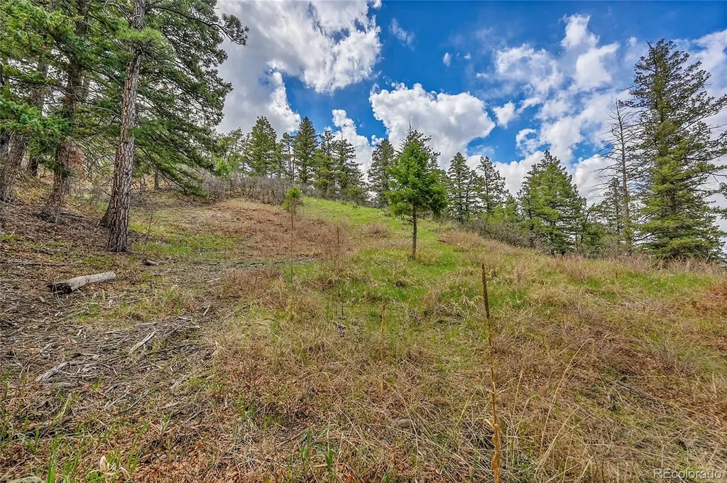 8093 Acoma Drive Larkspur CO 80118