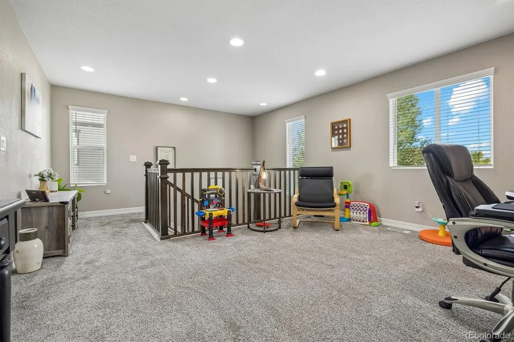 754 Blue Teal Drive Castle Rock CO 80104