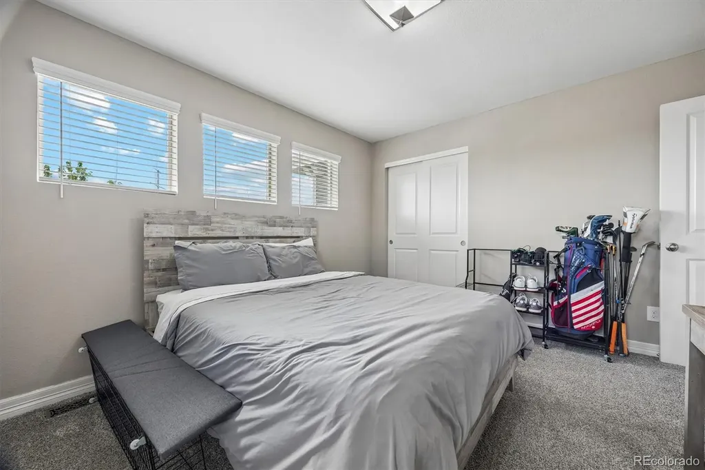 754 Blue Teal Drive Castle Rock CO 80104
