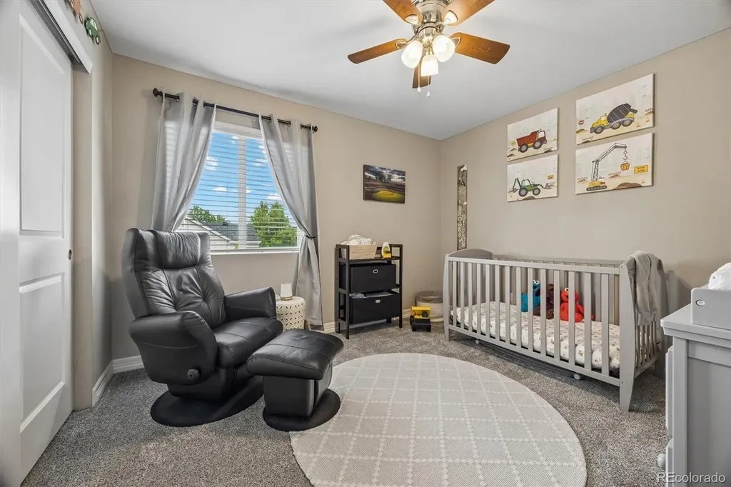 754 Blue Teal Drive Castle Rock CO 80104