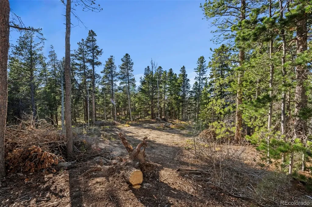00 Severance Lodge Road Black Hawk CO 80422