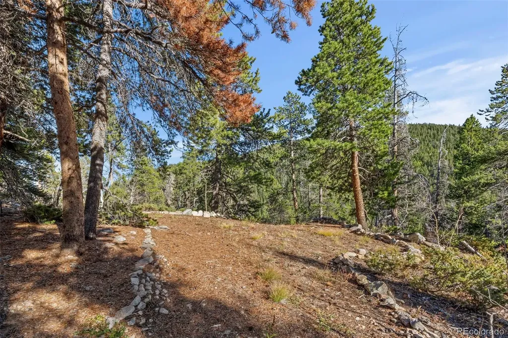00 Severance Lodge Road Black Hawk CO 80422