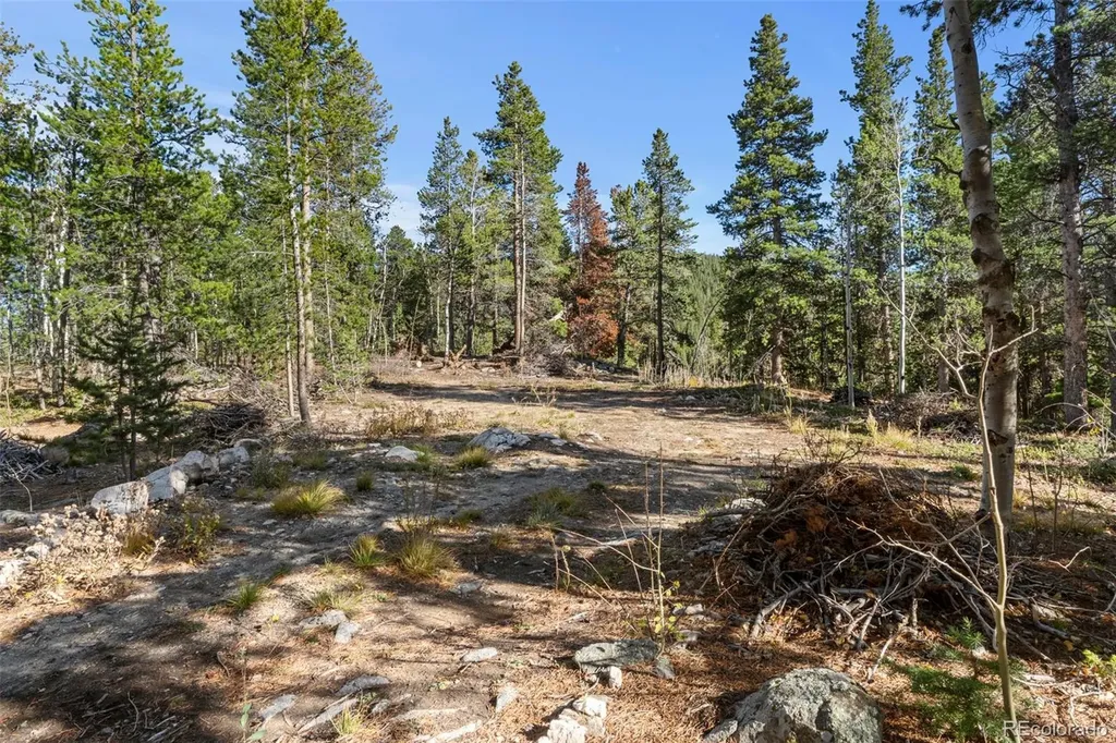 00 Severance Lodge Road Black Hawk CO 80422
