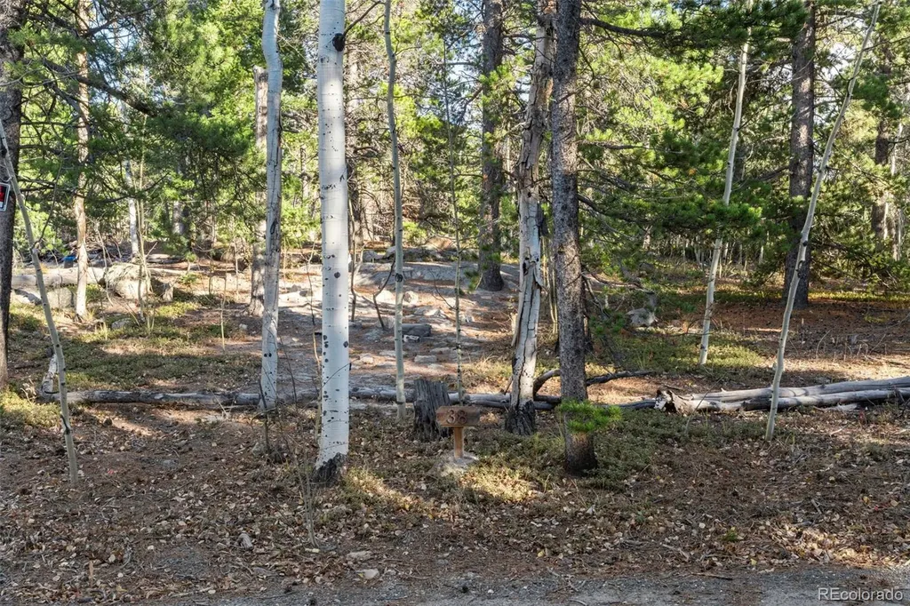 00 Severance Lodge Road Black Hawk CO 80422