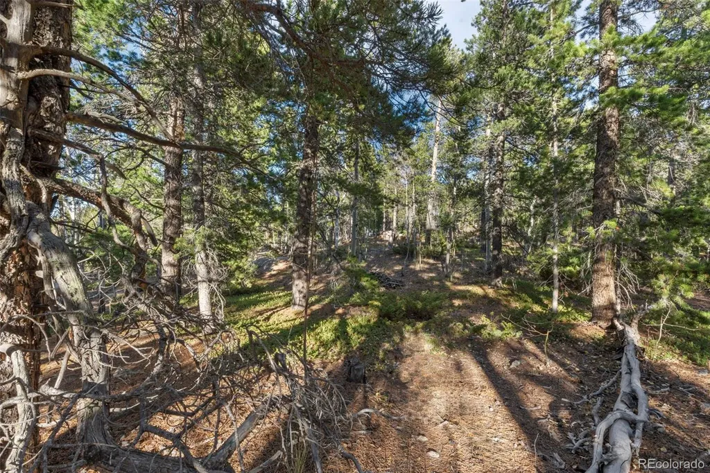 00 Severance Lodge Road Black Hawk CO 80422