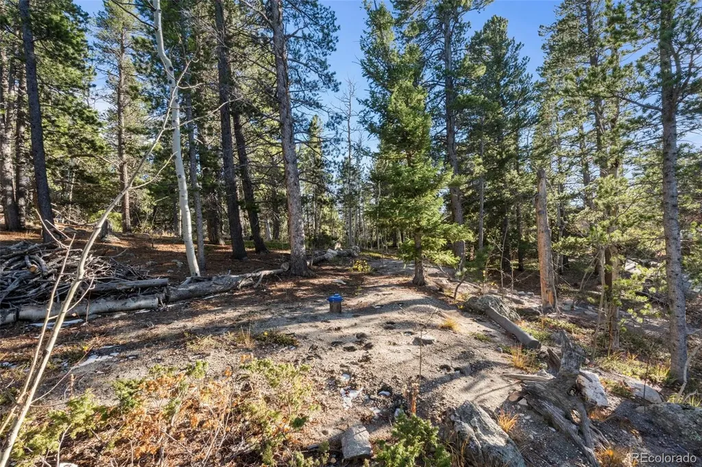 00 Severance Lodge Road Black Hawk CO 80422