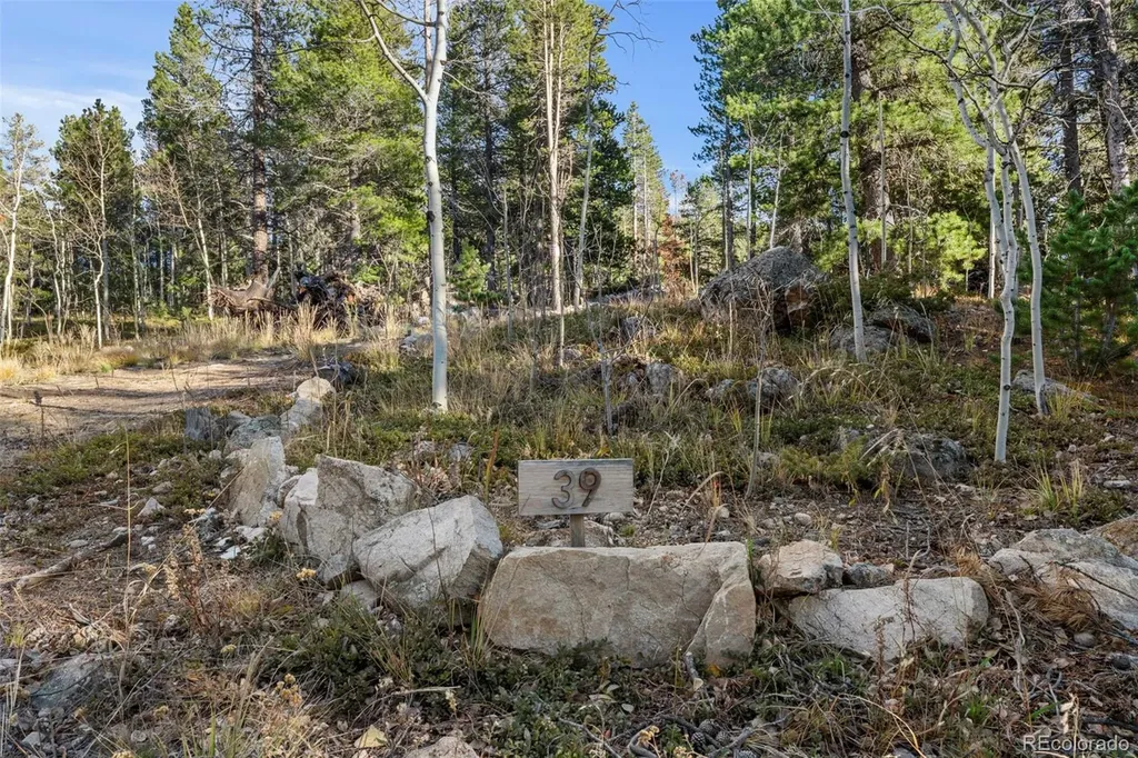 00 Severance Lodge Road Black Hawk CO 80422