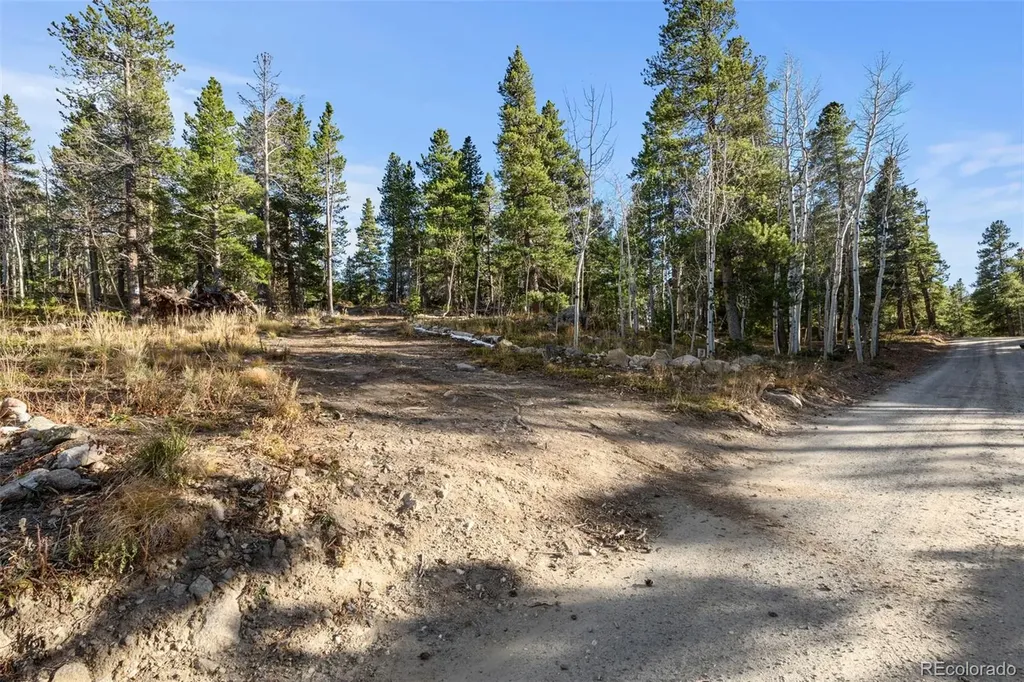 00 Severance Lodge Road Black Hawk CO 80422