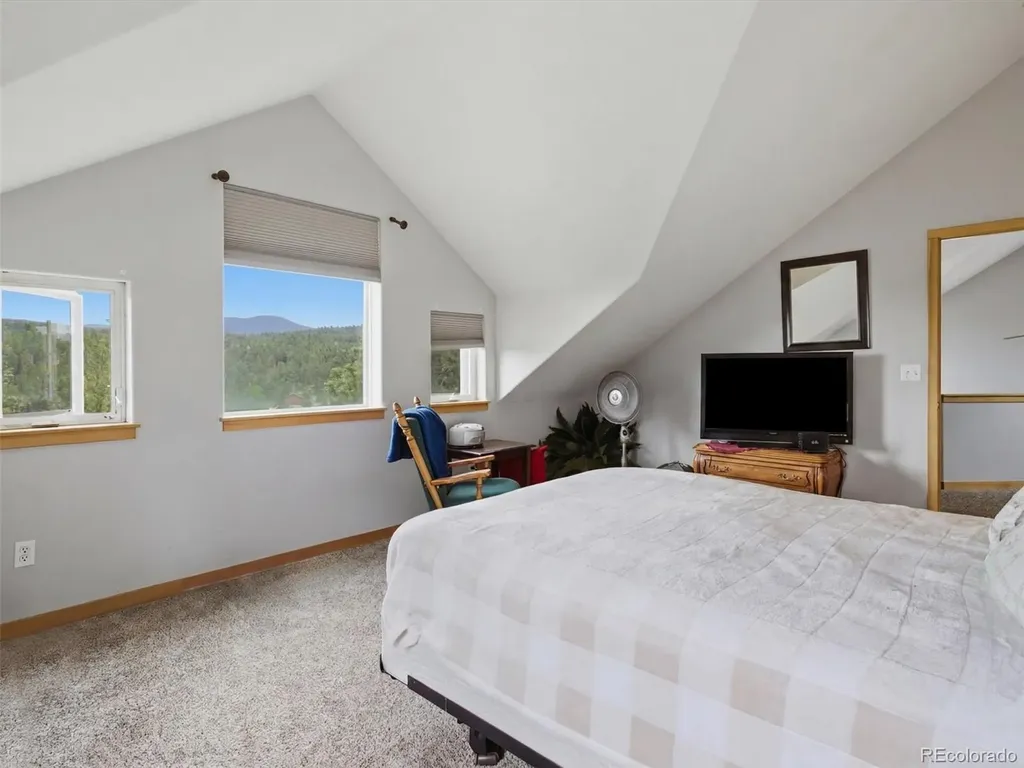 117 Spruce Trail Bailey CO 80421