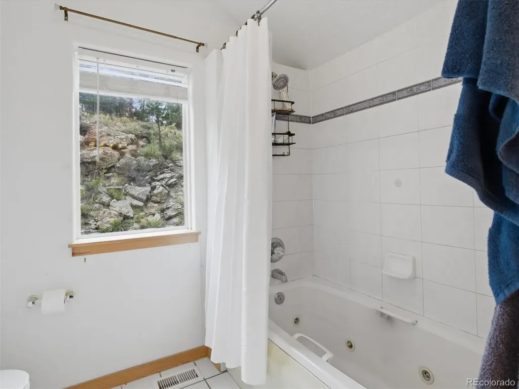 117 Spruce Trail Bailey CO 80421