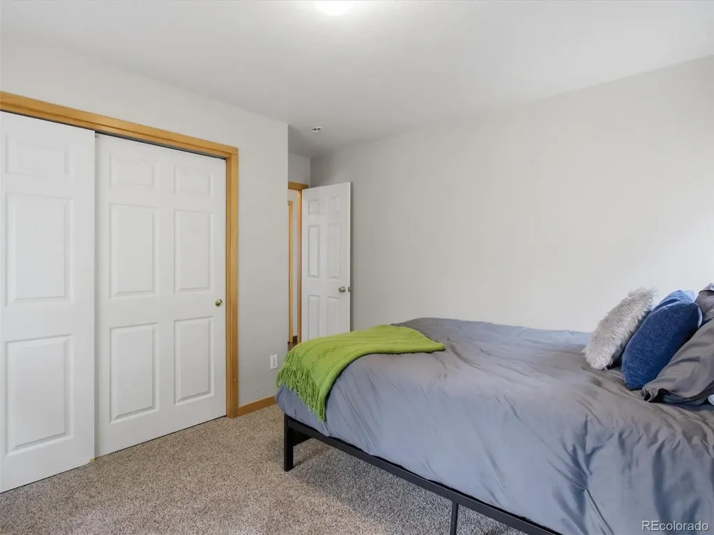 117 Spruce Trail Bailey CO 80421