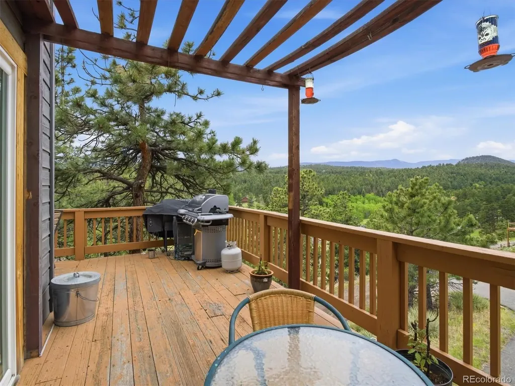117 Spruce Trail Bailey CO 80421
