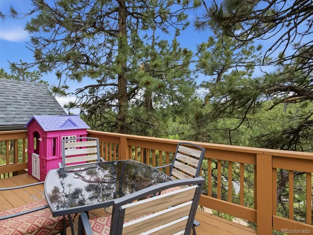 117 Spruce Trail Bailey CO 80421
