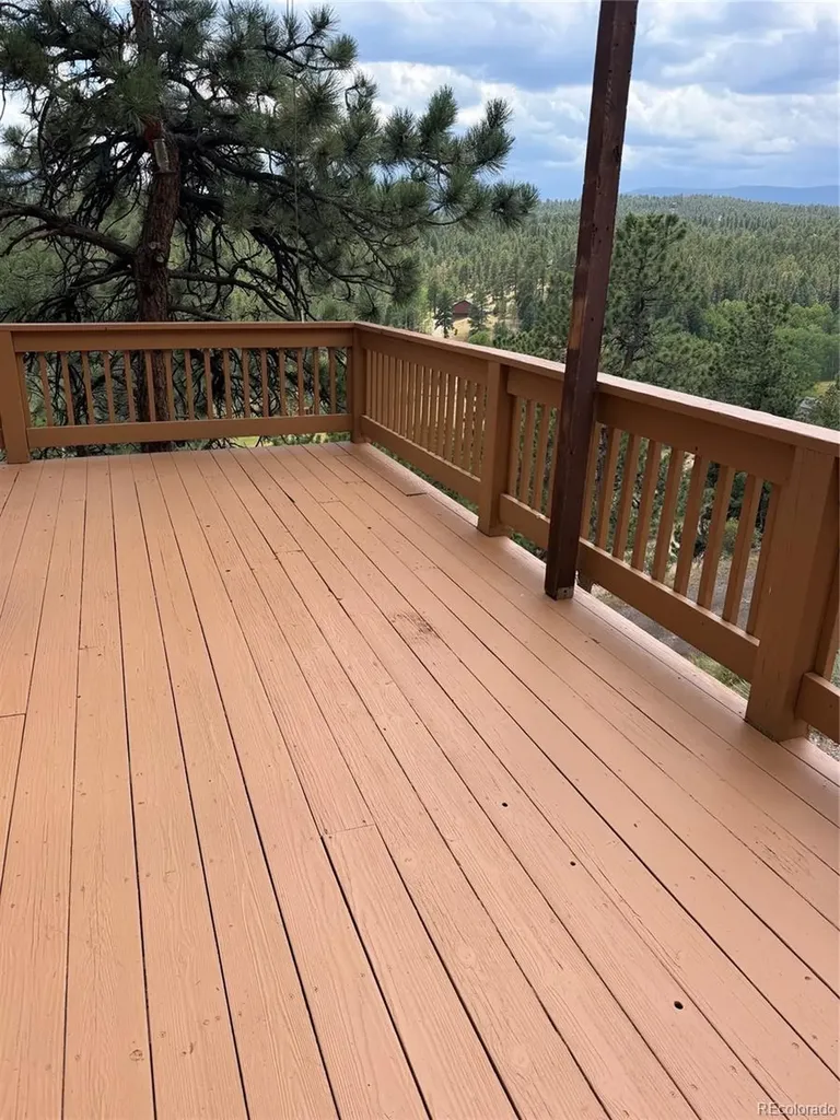 117 Spruce Trail Bailey CO 80421