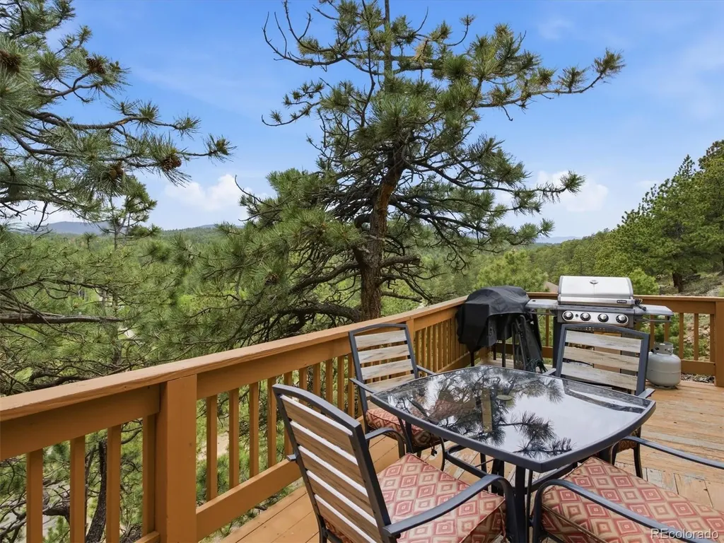 117 Spruce Trail Bailey CO 80421