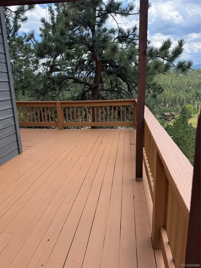 117 Spruce Trail Bailey CO 80421