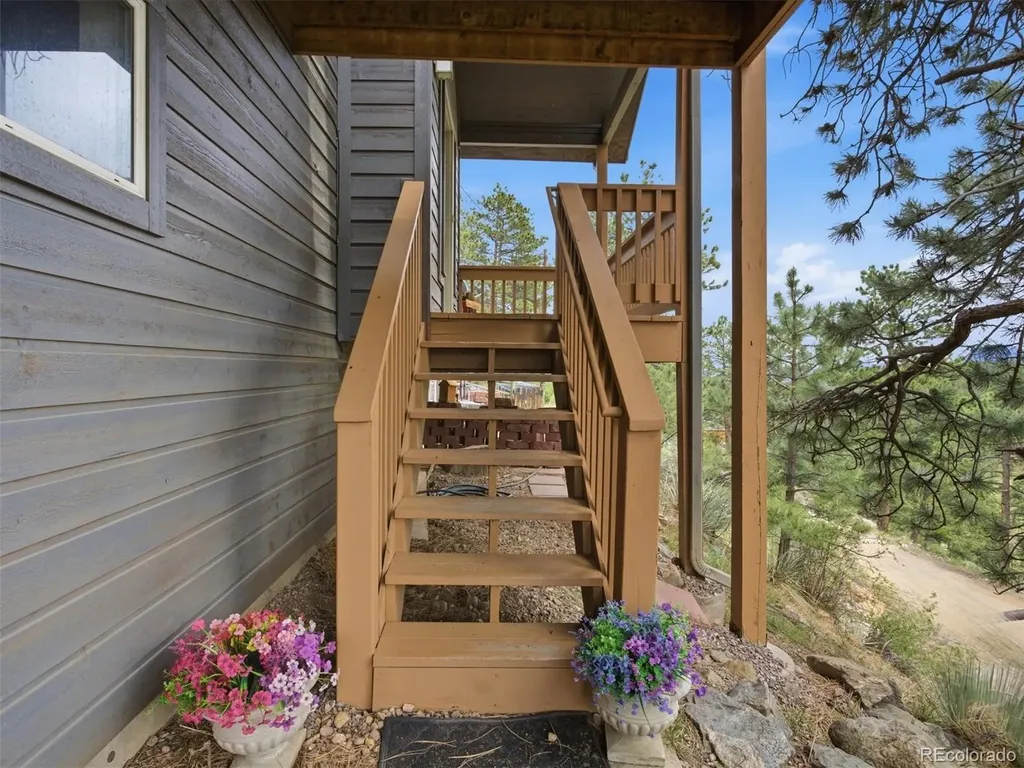117 Spruce Trail Bailey CO 80421