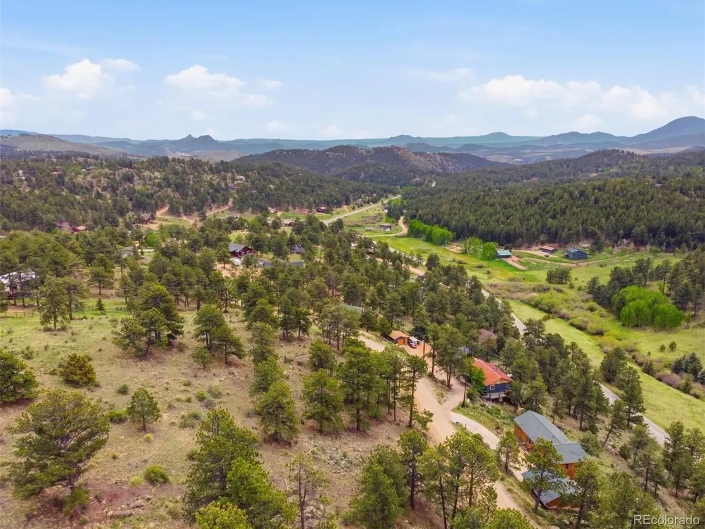 117 Spruce Trail Bailey CO 80421