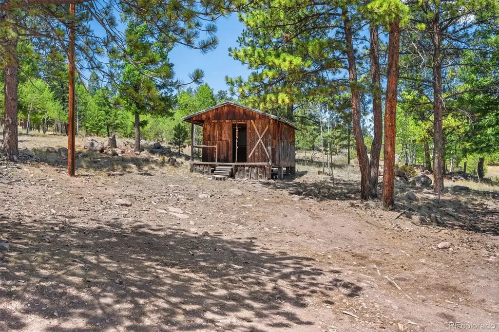 841 Plateau Drive Guffey CO 80820