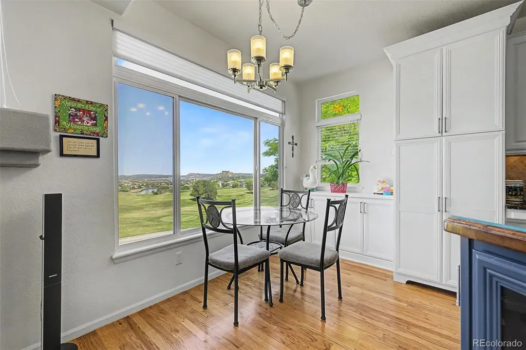 2113 Brierly Court Castle Rock CO 80104
