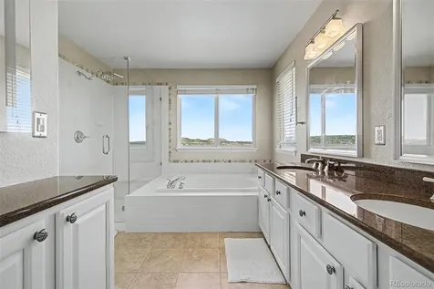 2113 Brierly Court Castle Rock CO 80104