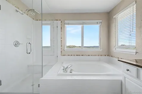 2113 Brierly Court Castle Rock CO 80104