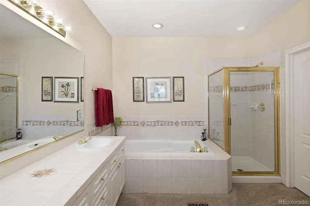 9827 Greensview Circle Lone Tree CO 80124
