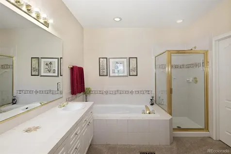 9827 Greensview Circle Lone Tree CO 80124